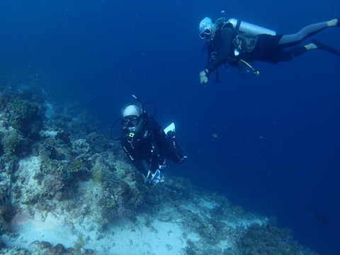 Messenger_creation_3291CCA5-C38B-460C-AF26-F26C74BDFC6E