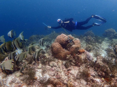 Messenger_creation_B271CE01-61E3-4669-974B-05AE56D42A1A