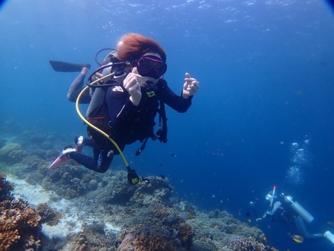 P2010023