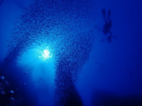 PA030218 (640x480)