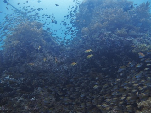 P7280200 (640x480)