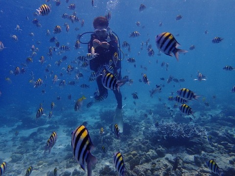 P8010033 (640x480)