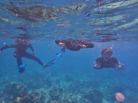P3182219 (640x480)
