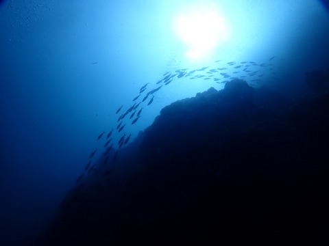 P8190061