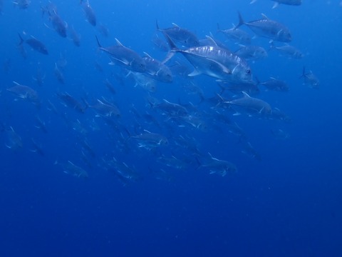 P3080034