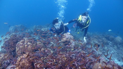 P1210020 (640x360)