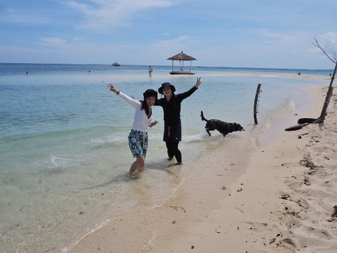 P8290003 (640x480)