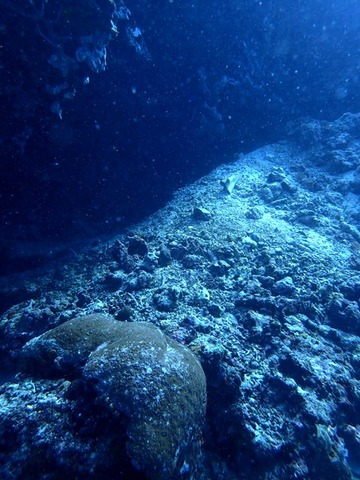 P1300228