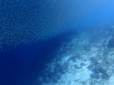 P7040028