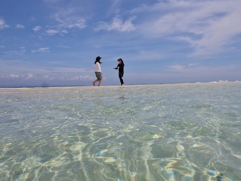 P8290026 (640x480)