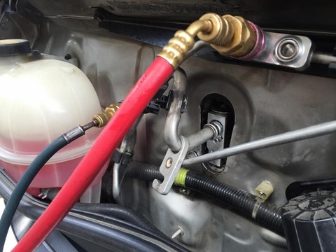 10979256_731492690303822_819888213_n (640x480)