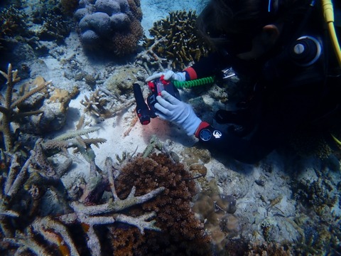 P2260049