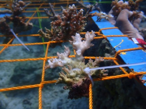 P3040109