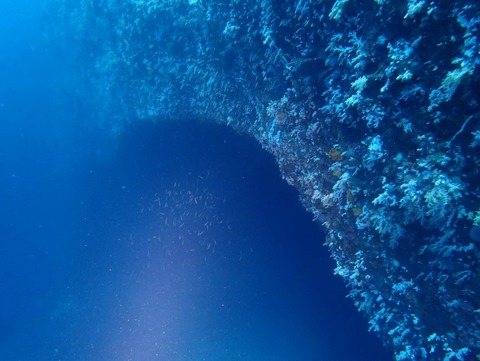 Messenger_creation_99C4DB18-8226-4586-A47B-CBBB85FE6AB0