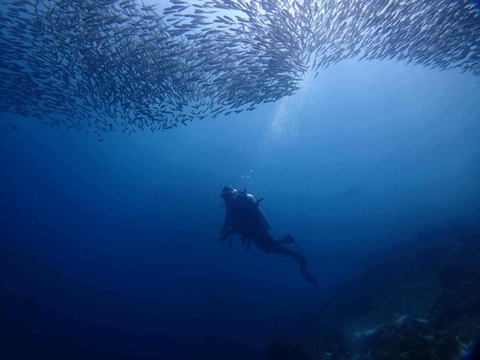 Messenger_creation_323C7DC9-765F-4162-9182-80912026EBB6