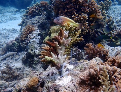 P3160097
