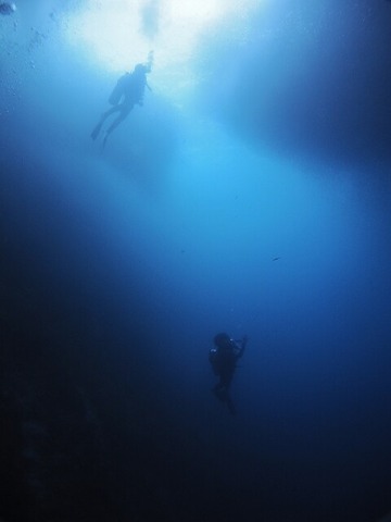 P1020265 (480x640)