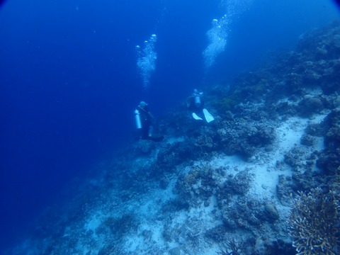 P5190025