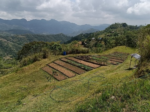 IMG20260516101038