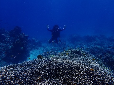 P5210798 (640x480)