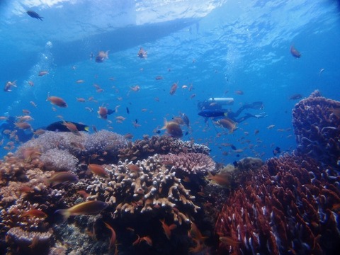 P7282284 (640x480)