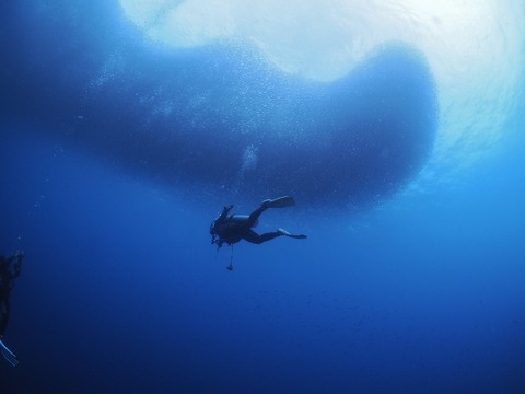 P5020194 (640x480)