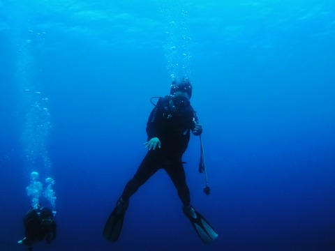 P1010016 (640x480)