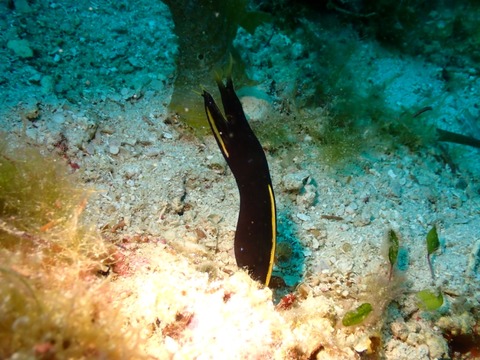 P3080057