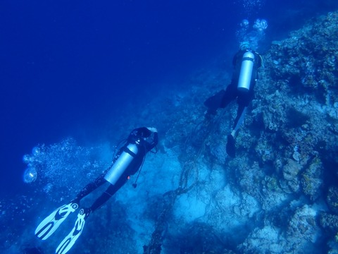 P4120012