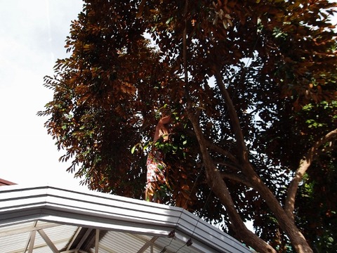 PC039117 (640x480)