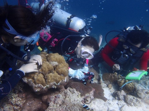 P2061961 (640x480)