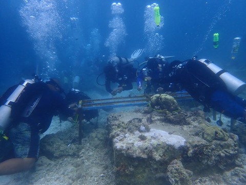 P3040082