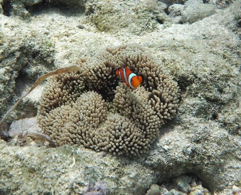 P9140065