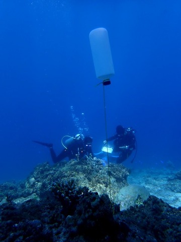 P5120058