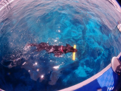 P1012082 (640x480)