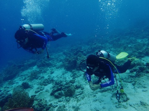 P5270923 (640x480)