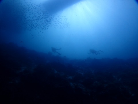 P5130129