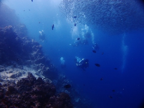 P1018215 (640x480)