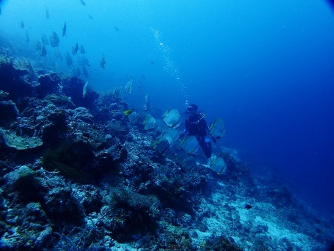 P8140325 (640x480)