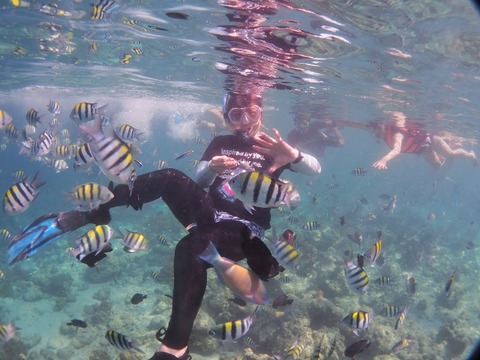 PB210065 (640x480)