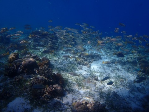 P2260006