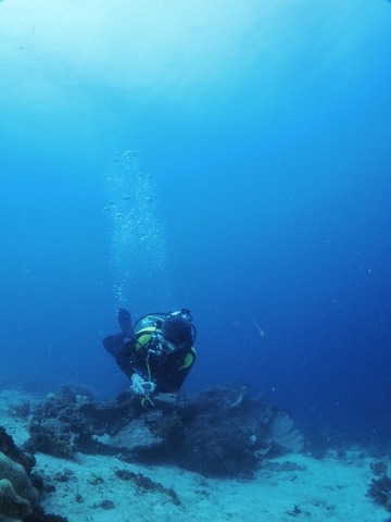 P3060023 (480x640)