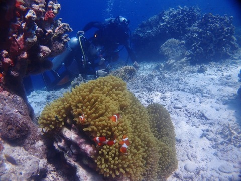P1011119 (640x480)