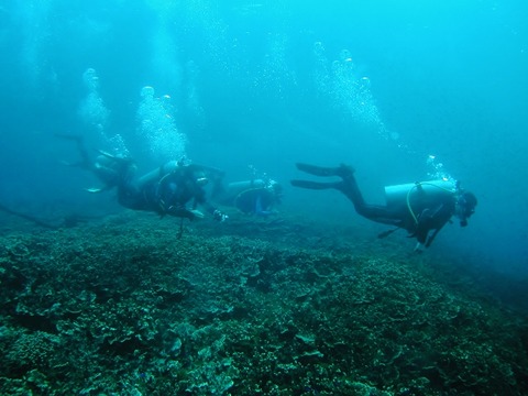 P1010001 (640x480)