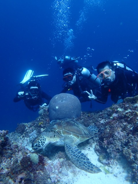 P5010069