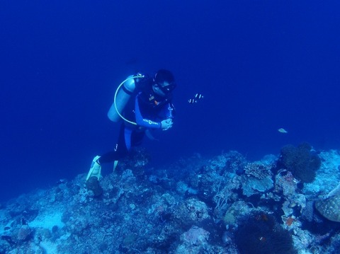P3018596 (640x479)
