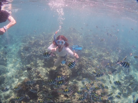 PB210121 (640x480)