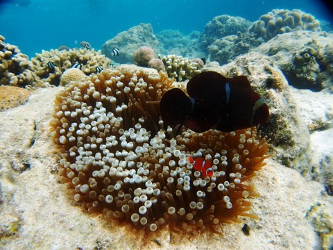 P1227739 (640x480)