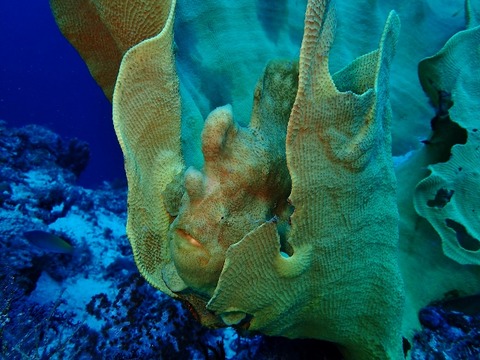 P7220146 (640x480)