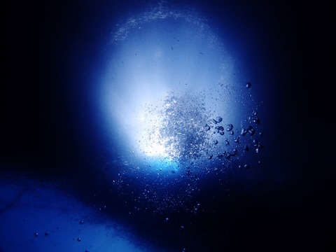 P3253323 (640x480)